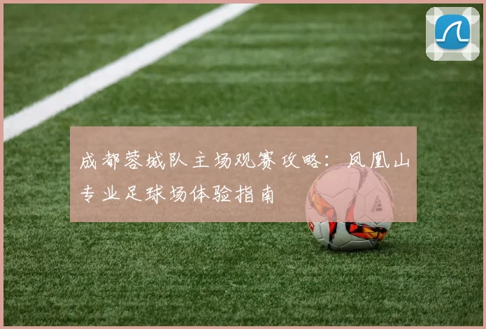 成都蓉城队主场观赛攻略：凤凰山专业足球场体验指南