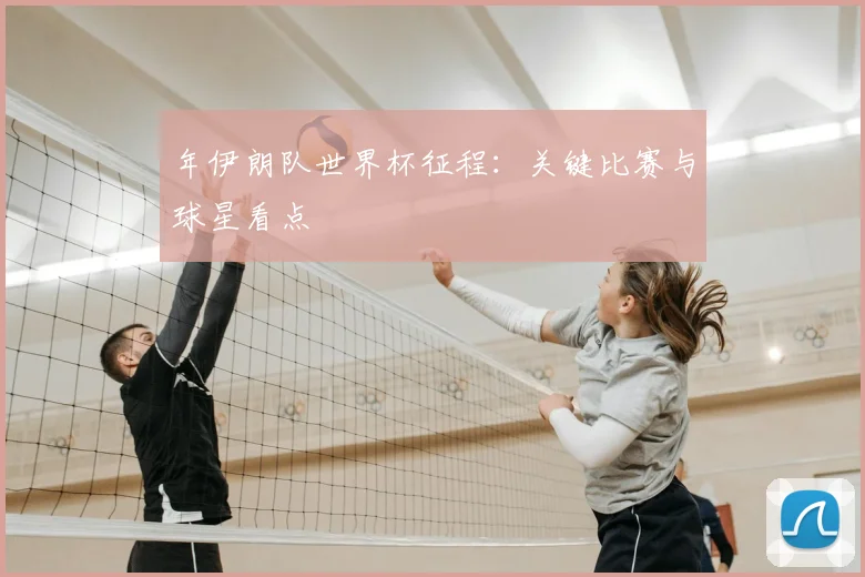 年伊朗队世界杯征程：关键比赛与球星看点
