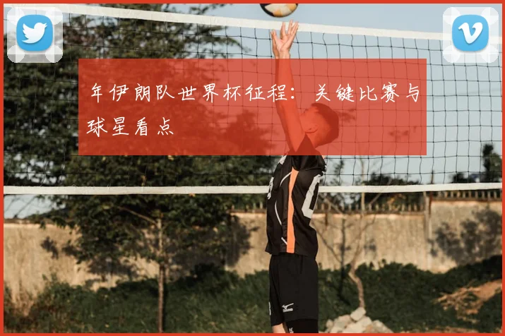 年伊朗队世界杯征程：关键比赛与球星看点
