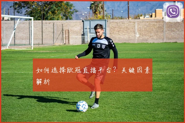 如何选择欧冠直播平台？关键因素解析